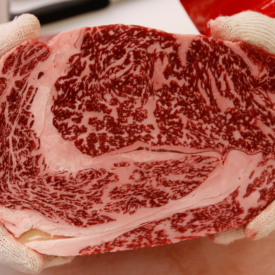 정읍한우 1++등급, 실속세트 1.2kg