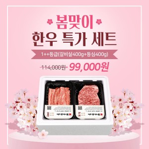 봄맞이 특가, 1++등급(등심400g+갈비살400g)